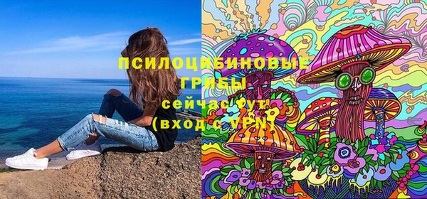 героин Алексин
