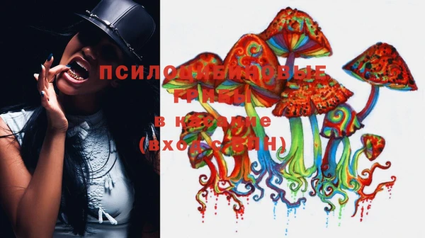 героин Алексин